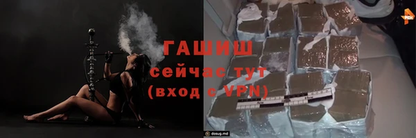 амф Верхний Тагил