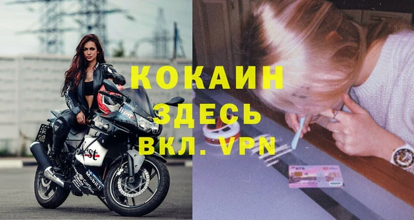 амф Верхний Тагил