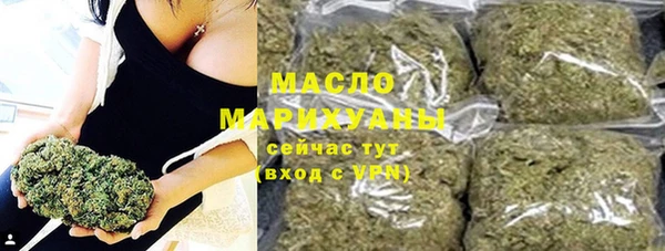 амф Верхний Тагил