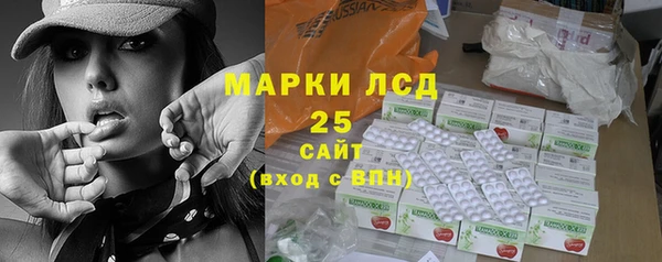 амф Верхний Тагил