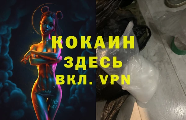 амф Верхний Тагил